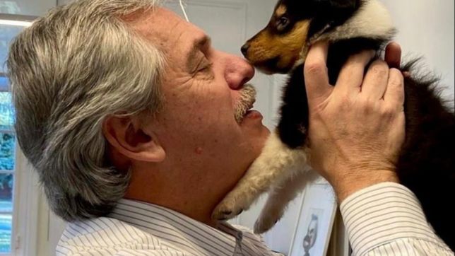 el dedo de anibal f. en la llaga: ¿quien defiende al presidente? el dedo de anibal f. en la llaga: ¿quien defiende al presidente?