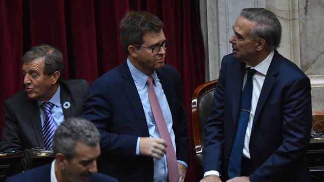 Nicolás Massot y Miguel Pichetto, la dupla que mantiene una postura diferente a la de Martín Llaryora dentro del bloque federal de Diputados