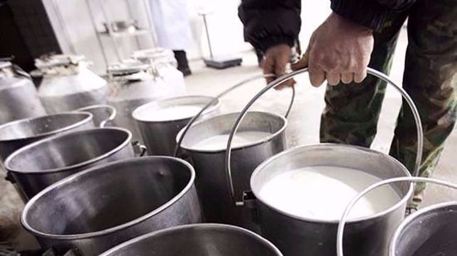 especialistas pronostican el cierre de la mitad de los tambos en el pais