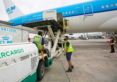 Intercargo, del monopolio a la privatización