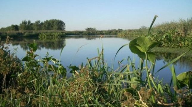 macri anuncio ley para proteger y cuidar humedales