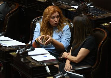 Karina Banfi, autora del nuevo proyecto de ley para aplicar Ficha Limpia.&nbsp;