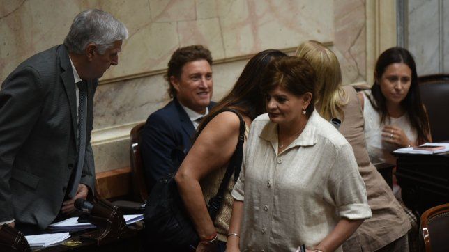 Diputados de provincias Unidas, claves en la votación del DNU 70/23