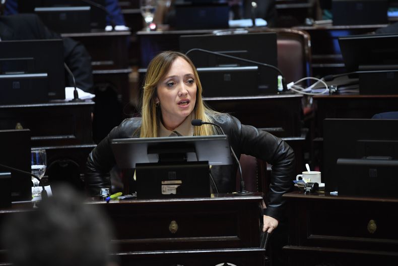 Anabel Fernández Sagasti, senadora de Unión por la Patria, durante el debate sobre el presupuesto de universidades.&nbsp;
