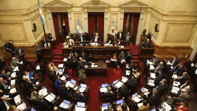 El Senado sancionó la reforma jubilatoria que rechaza Javier Milei.&nbsp;