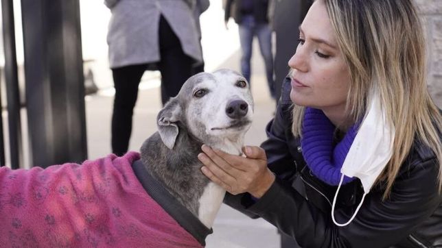 carolina losada, la outsider de los 740 mil votos