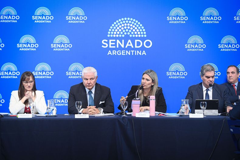 Comisión de Presupuesto y Hacienda, para tratar el Súper-RIGI.