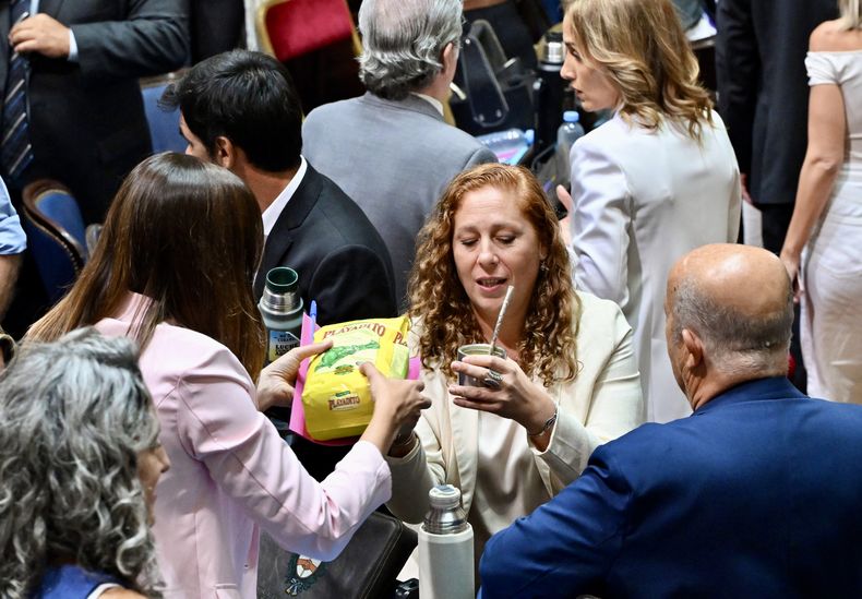 Axel Kicillof - Apertura de sesiones 2026 58