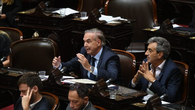 Miguel Ángel Pichetto, en la sesión de ficha limpia