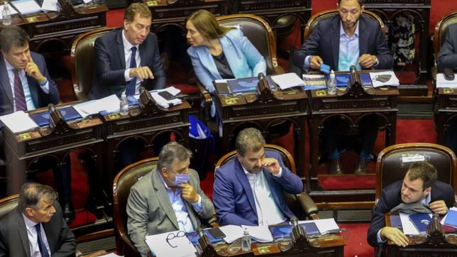 diputados: el fdt busca un punado de votos en una madrugada con riesgo de derrota