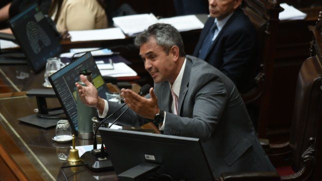 Martín Menem, jefe de La Libertad Avanza en Diputados.&nbsp;