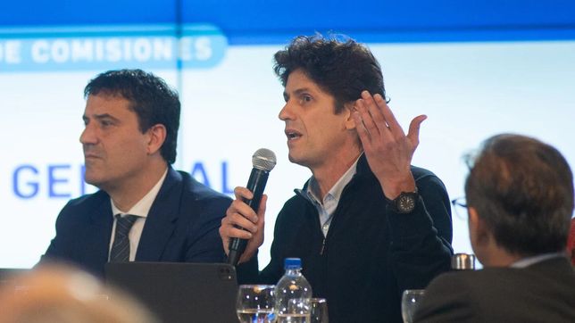 Maximiliano Abad y Martín Lousteau.
