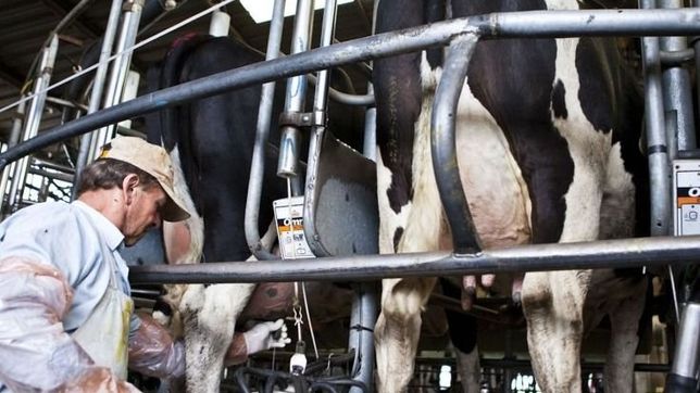 aprobaron compensaciones para los tamberos