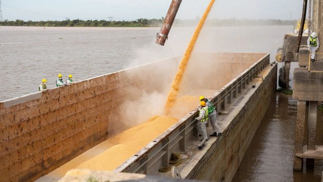 El agro adelanta retenciones para cubrirse con un dólar barato.