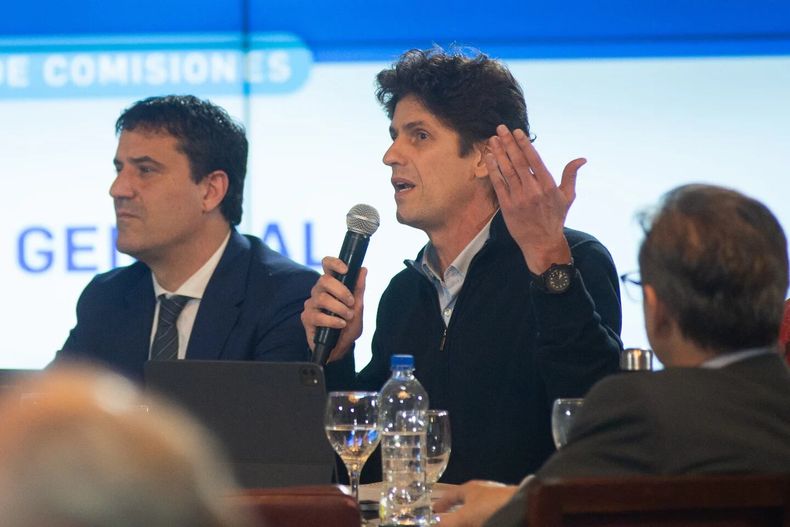Maximiliano Abad y Martín Lousteau.