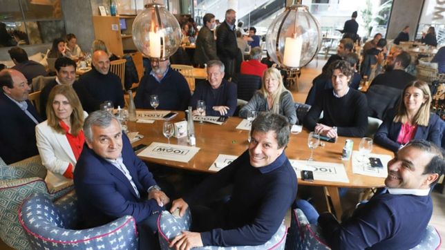 la ucr le respondio a carrio: es una irresponsabilidad hacer denuncias falaces