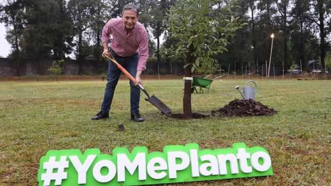 a lo macri: gray, con ejercito de trolls propio