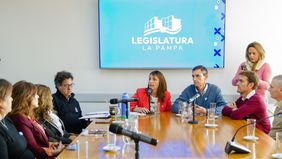 La comisión que preside la kirchnerista María Luz Alonso&nbsp; en La Pampa fogonea la activación del Parlamento de la Patagonia.