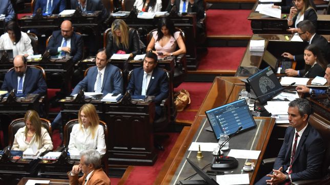 Cámara de Diputados. Tratamiento de la ley ómnibus.