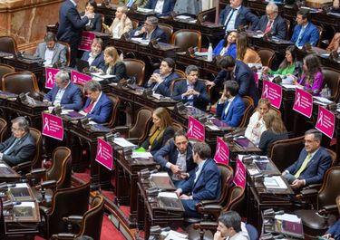 Cámara de Diputados, de la agenda positiva a los gritos por Cromañón