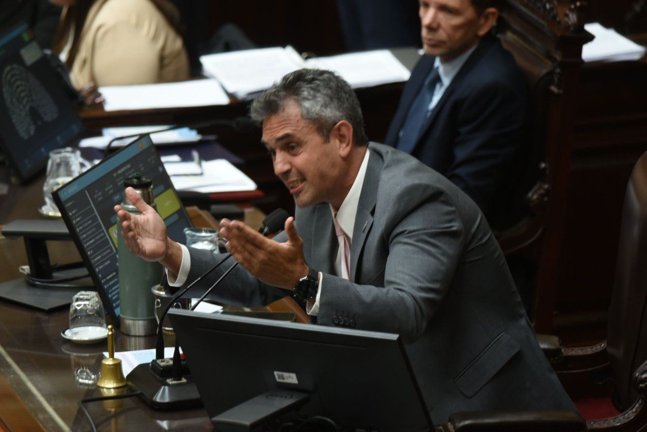Martín Menem, jefe de La Libertad Avanza en Diputados.&nbsp;