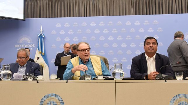 devolucion de iva: jxc no apoyo el proyecto de sergio massa y presento un dictamen propio