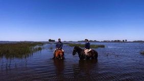 Inundaciones: según el INTA, en Villegas cerraron el 40% de los tambos