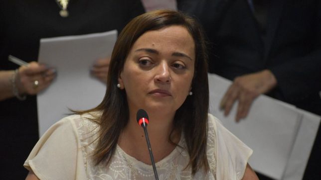 declinable: cecilia moreau aclara que, si quieren, sigue de vice del bloque