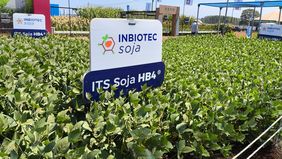 Agricultura cuestionó a Gustavo Idígoras por validar alertas europeas sobre soja HB4