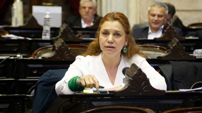 diputados: gritos e insultos entre la radical banfi y la kirchnerista penacca