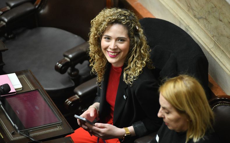 Lourdes Arrieta, desplazada de su banca por Martín Menem