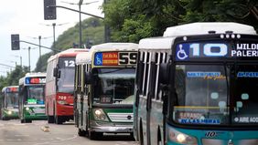 Colectivos del Área Metropolitana de Buenos Aires