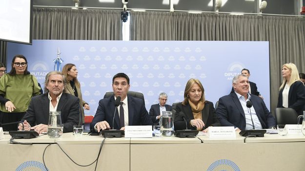 La secretaria de energía, María CarmenTetamanti, durante el debate del proyecto del Gobierno para reducir zonas frías.&nbsp;