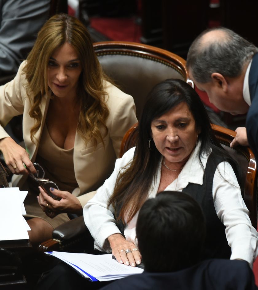Laura Rodríguez Machado, de La Libertad Avanza, en Diputados.