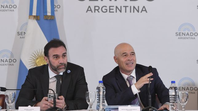 Ezequiel Atauche y Bartolomé Abdala, de La Libertad Avanza, durante el debate de la ley ómnibus.&nbsp;