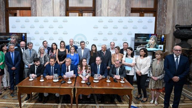 jxc se planta en el senado contra el ?infame? pedido de juicio politico a la corte