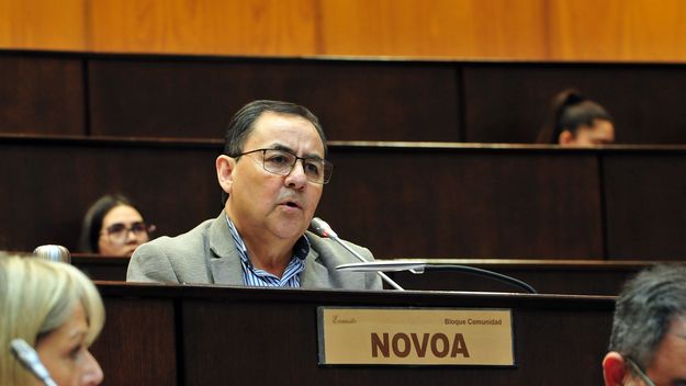 Novoa preside el bloque de Comunidad, el partido de Rolando Figueroa, y la comisión de Asuntos Constitucionales en la Legislatura de Neuquén.&nbsp;