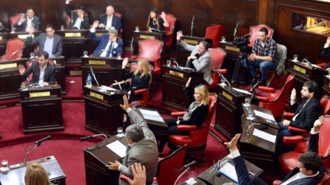 vidal ya puede nombrar a sanchez zinny como ministro de educacion