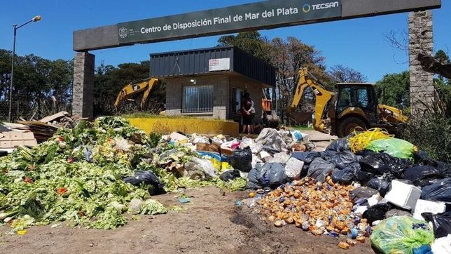 freno judicial a la polemica licitacion de montenegro para el manejo de residuos