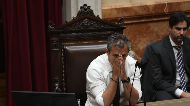 Martín Menem, referente de Javier Milei en el Congreso. 