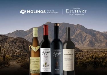 Salta: Molinos expande sus negocios y acuerda la compra de la bodega Etchart.