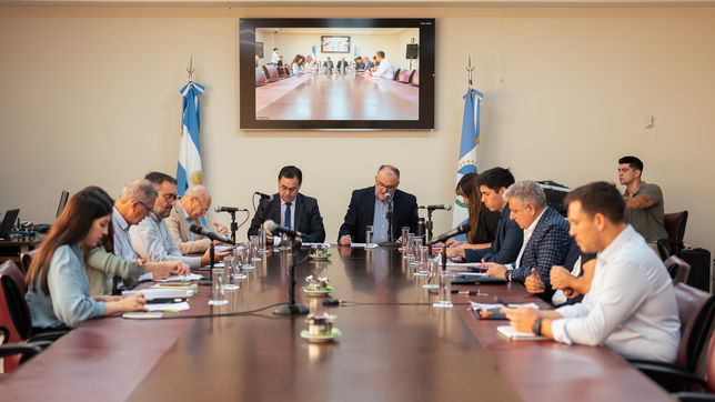 Neuquén: el proyecto de Ficha Limpia dio otro paso adelante en la Legislatura