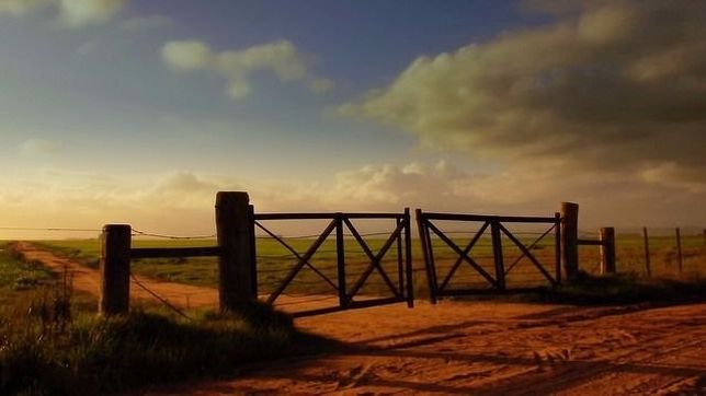 productores ponen a prueba a salvador para frenar ?una ola de remates?