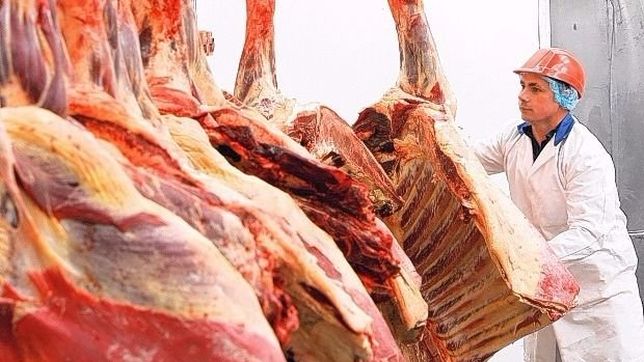 un informe puede detener un conflicto entre la nacion, la pampa y la patagonia