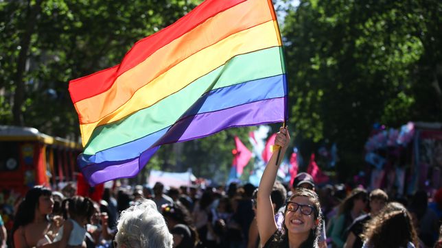 a 15 dias del ballotage, la 32° marcha del orgullo demanda frenar a la derecha