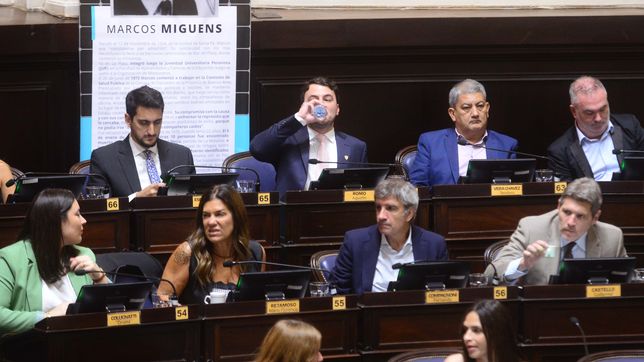 La libertad Avanza. Diputados