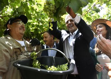 Los siete escalones que separan a Massa de la boleta presidencial