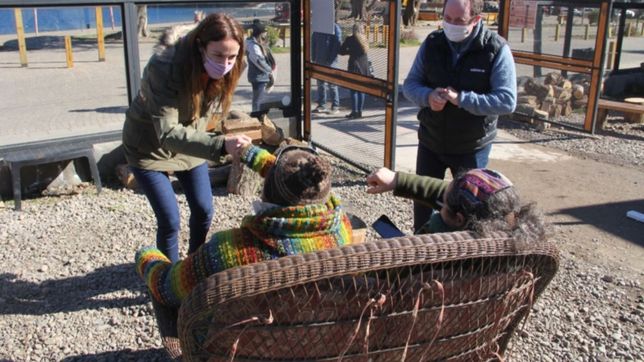 en neuquen y rio negro, la campana sigue en modo pandemia