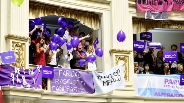 se juegan la paridad y la representacion feminista en el congreso