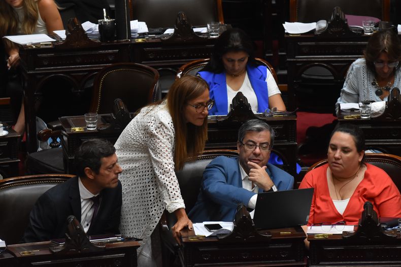 Germán Martínez, jefe del bloque del kirchnerismo.&nbsp;